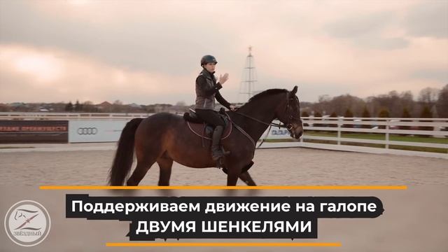 Галоп на лошади / Движение галопом / Посадка на галопе / Подъём в галоп / Виды галопа смотреть онлайн