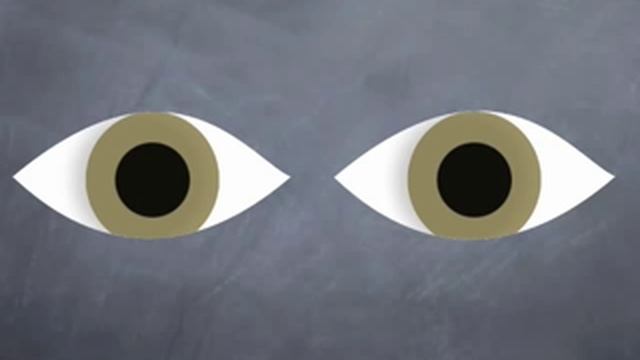 How to Examine Normal Pupils смотреть онлайн