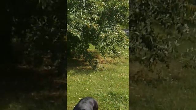 БЕСПРЕДЕЛ В ЛЮБЛИНО! смотреть онлайн