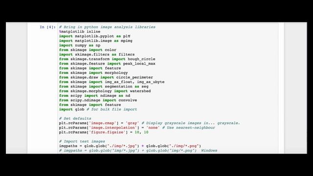 Professor Bear :: Image Analysis in Python :: Loading Images & iPython смотреть онлайн