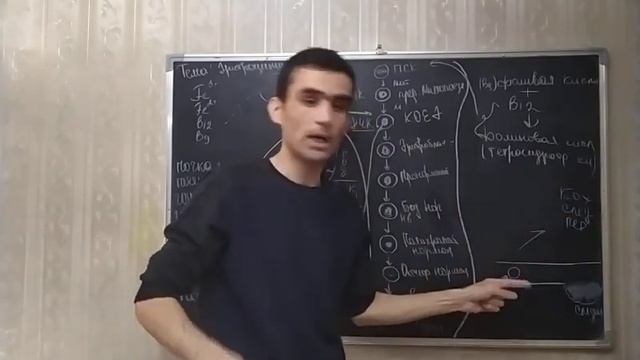 Физиология крови. Эритроциты, эритропоэз, эритроцитоз, анемия. Общая характеристика и его функция