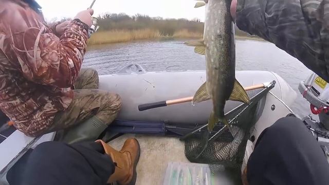 Безудержный клёв щуки на спиннинг.29 щук за пару часов смотреть онлайн