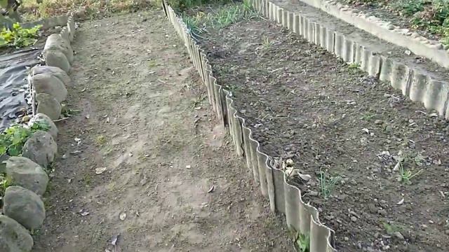 Осенняя посадка чеснока с землином в определенном направлении смотреть онлайн