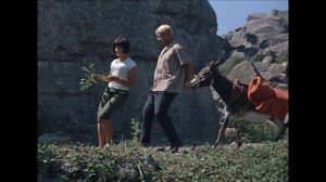 Песни под гитару. "Песенка о медведях"