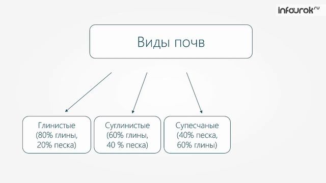 Почва — особое природное тело | География 8 класс #27 | Инфоурок смотреть онлайн