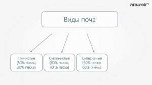Почва — особое природное тело | География 8 класс #27 | Инфоурок
