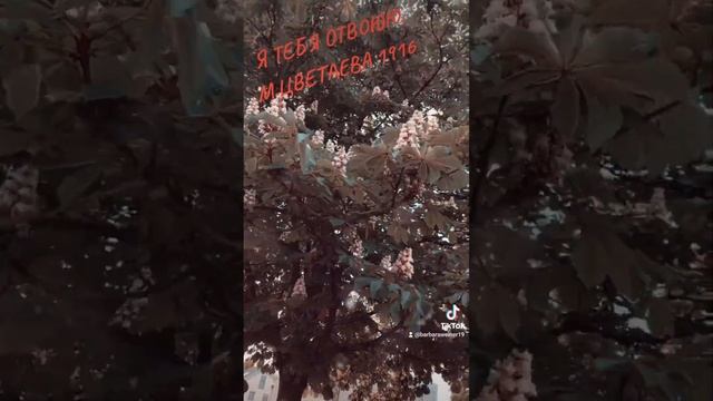 10. Juni 2023,,,Я ТЕБЯ ОТВОЮЮ,,,,МАРИНА ЦВЕТАЕВА,,,, смотреть онлайн