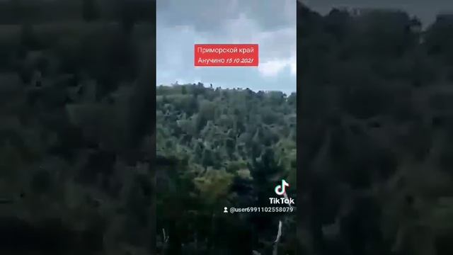 Анучина. 2021 смотреть онлайн