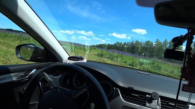 Skoda Octavia A7 - Система экстренного торможения в действии смотреть онлайн