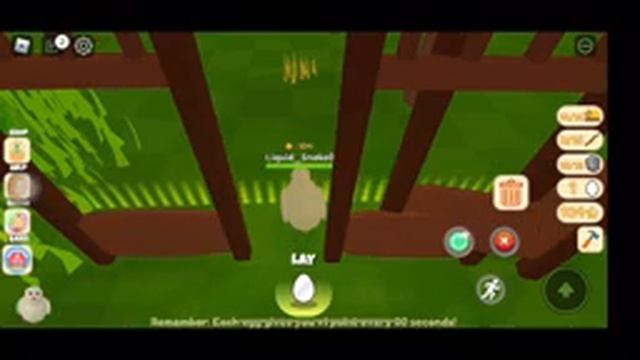 Roblox Chicken Life First time fence build смотреть онлайн