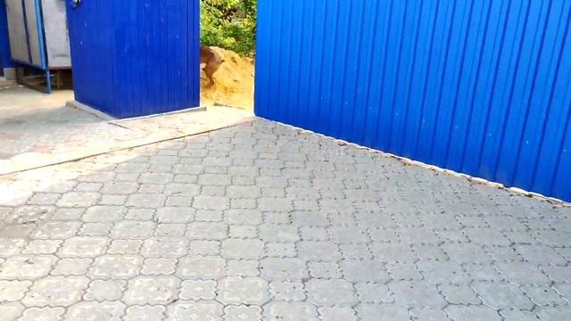 Собаки немецкий боксер и шарпей, бегают по огороду и резвятся! Так рады моему приходу! смотреть онлайн