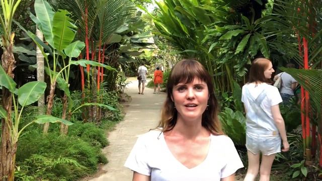 ПАРК ПТИЦ НА ПХУКЕТЕ. КРОКОДИЛОВАЯ ФЕРМА. ЛАТЕКСНАЯ ФАБРИКА смотреть онлайн