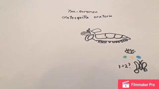 рак богомол смотреть онлайн