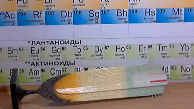 Видео обзор - Модель строения корня смотреть онлайн