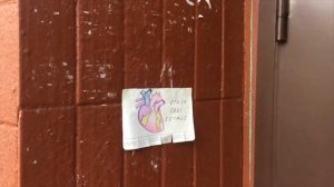 Отдам свое сердце