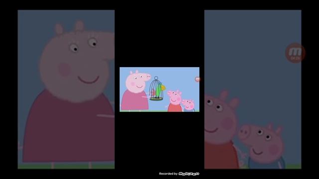 Смешные видео свинка пеппа смотреть онлайн