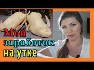 Бизнес на утке. Заработок на утке Мулард. Сколько мы заработали.