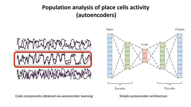 Исследование скрытых переменных коллективной динамики нейронной активности смотреть онлайн