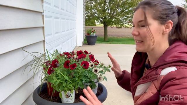 Planting Beautiful Summer Containers