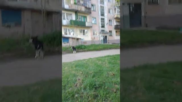 Белорусские дороги. Ужас! смотреть онлайн