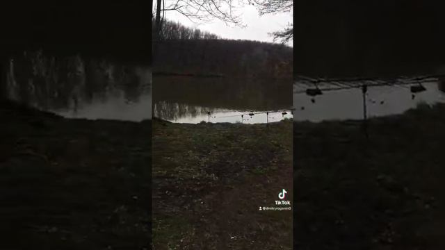 РЫБАЛКА БЕЛГОРОДСКАЯ ОБЛАСТЬ!!!!КАРП АМУР!))) смотреть онлайн