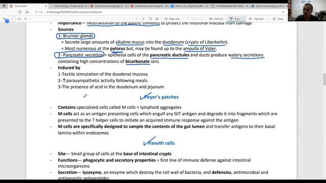 TA7 USMLE STEP 1: GIT 2 TRIAL LECTURE смотреть онлайн