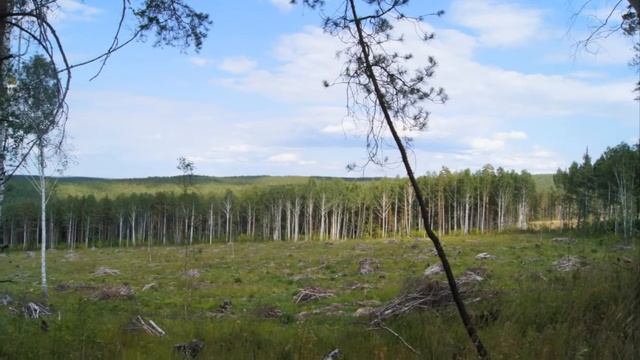 Узоры ветра - Расширение горизонта смотреть онлайн