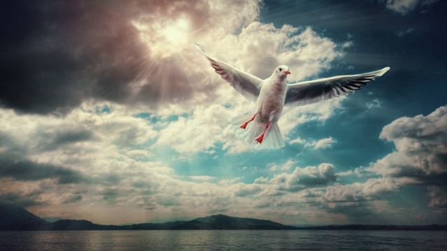 Алексей Мандельштам - Я знаю, что и где, и с кем (Бескрылый роман)