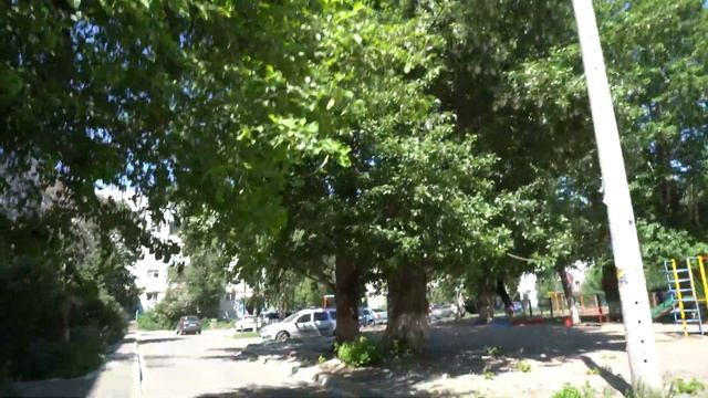 Тополиный пух, жара и май + 38 градусов днем смотреть онлайн
