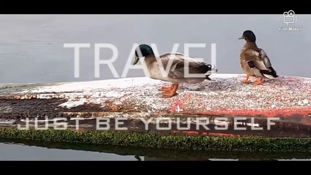 3M MOTIVATION MARSASKALA MALTA смотреть онлайн