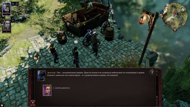 Divinity Original Sin 2 прохождение с брательником. Часть 4 смотреть онлайн