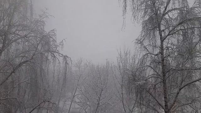 Прогноз сбылся... Снег будет идти но скоро...4 2 18. С 1... смотреть онлайн