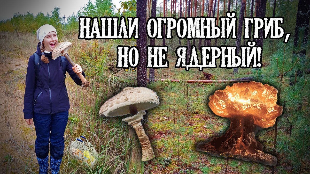 НАШЛИ ОГРОМНЫЙ ГРИБ, НО НЕ ЯДЕРНЫЙ! ☢ Походы