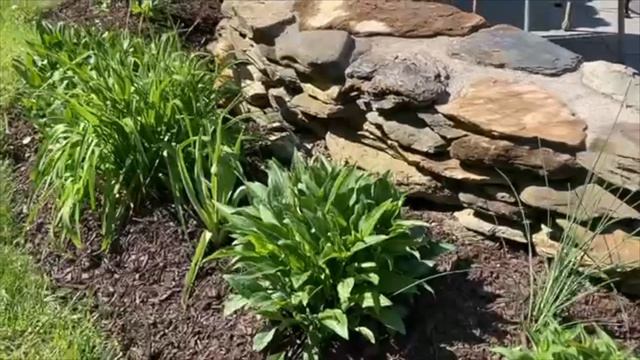 SPRING AND EARLY SUMMER VERMONT GARDEN TOUR! BUDGET FRIENDLY GARDEN TIPS! #gardening #vermontlife смотреть онлайн