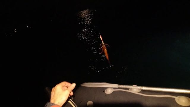 Рыбалка на кальмара НАХОДКА 2022. Большие волны и поиск кальмара ??? смотреть онлайн