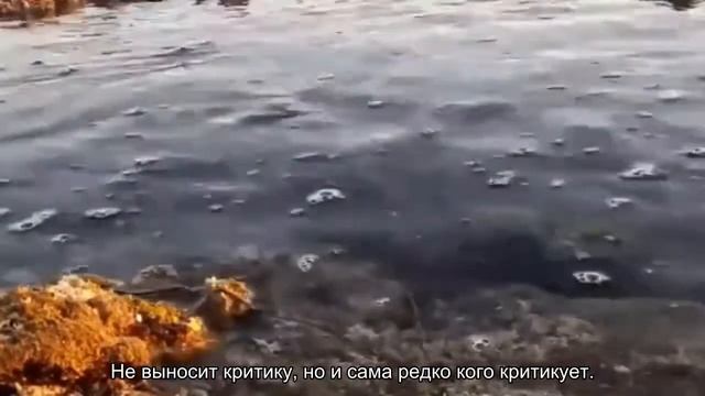 Значение имени Дана. Толкование, судьба, характер смотреть онлайн