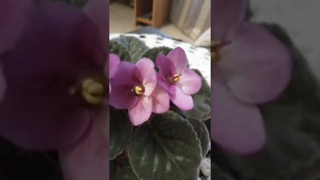 Поговорим смотреть онлайн