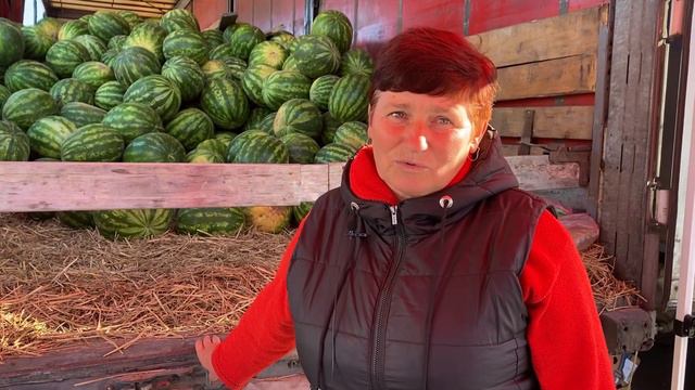 🍉 Як правильно вибрати кавун на ринку? смотреть онлайн