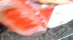 Японский  мини трактор  Yanmar  посадка ранней картошки в теплице