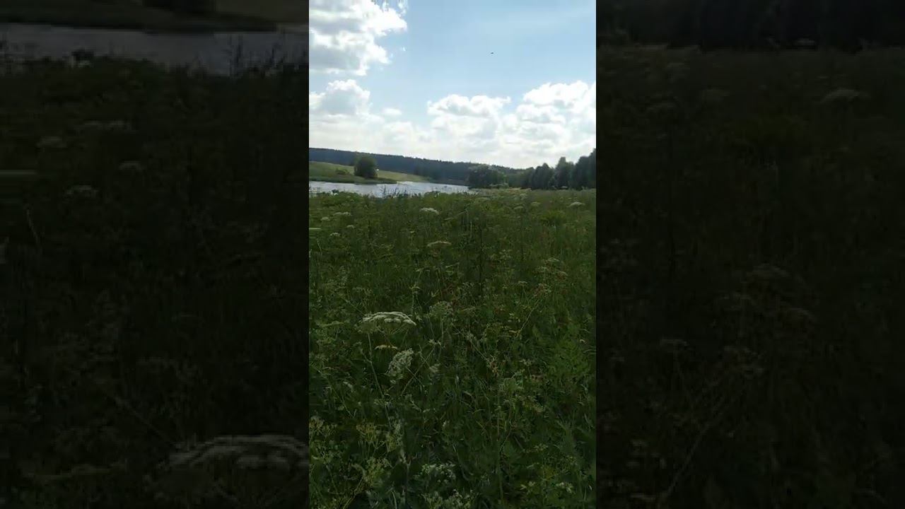 Разноцветье. Природа лучший художник. смотреть онлайн