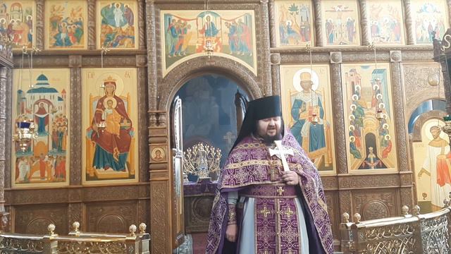 Проповедь на Евангелие дня - "Исцеление расслабленного" (Мк. 2: 1 - 12) смотреть онлайн