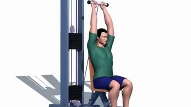 Французский жим сидя с опорой спины на блоке узким хватом смотреть онлайн