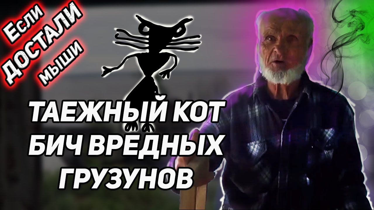 ЕСЛИ МЫШИ ПРИШЛИ В ДОМ. ТАЕЖНЫЙ КОТ - БИЧ ВРЕДНЫХ ГРЫЗУНОВ. И никакой химии. смотреть онлайн