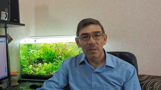 Грунт для аквариума и его разновидности смотреть онлайн