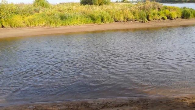 Участки на Каме. Деревня Федотово. смотреть онлайн