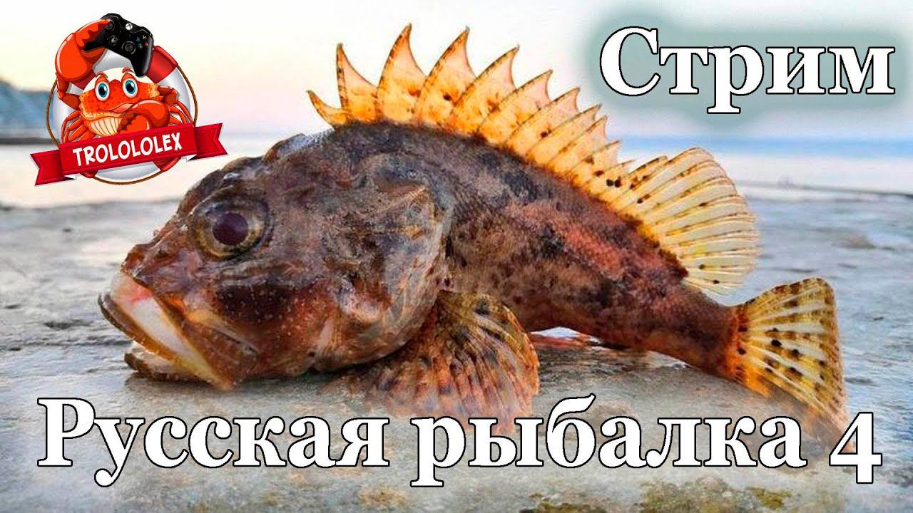 Русская рыбалка 4. Норвежское море смотреть онлайн