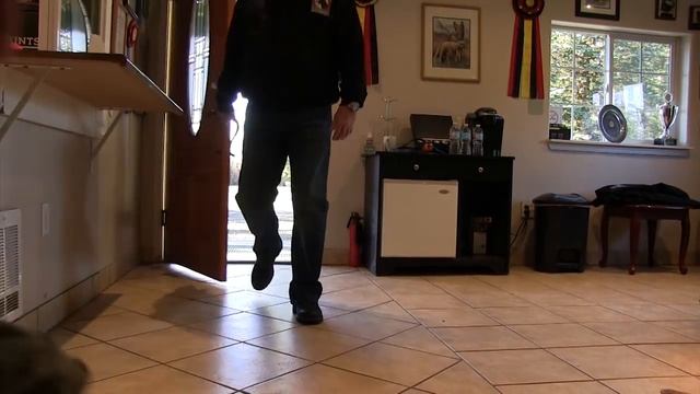 Protection Dog - Toddler with Kraftwerk K9 Protection Trained German Shepherd смотреть онлайн