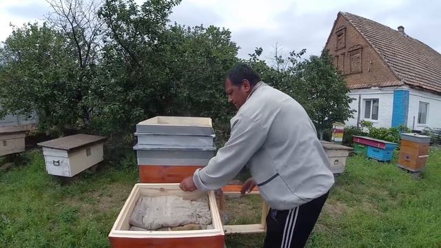 Супер броня для маточников смотреть онлайн