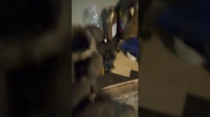 Ремонт рулевой рейки Хафей Брио без гура.