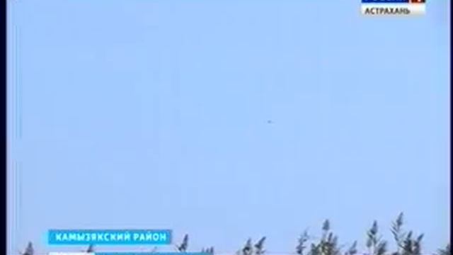 В Камызякском районе завершается сбор арбузов сорта "Холодок" смотреть онлайн